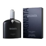 Magnata Zirconia Privé Zirconia