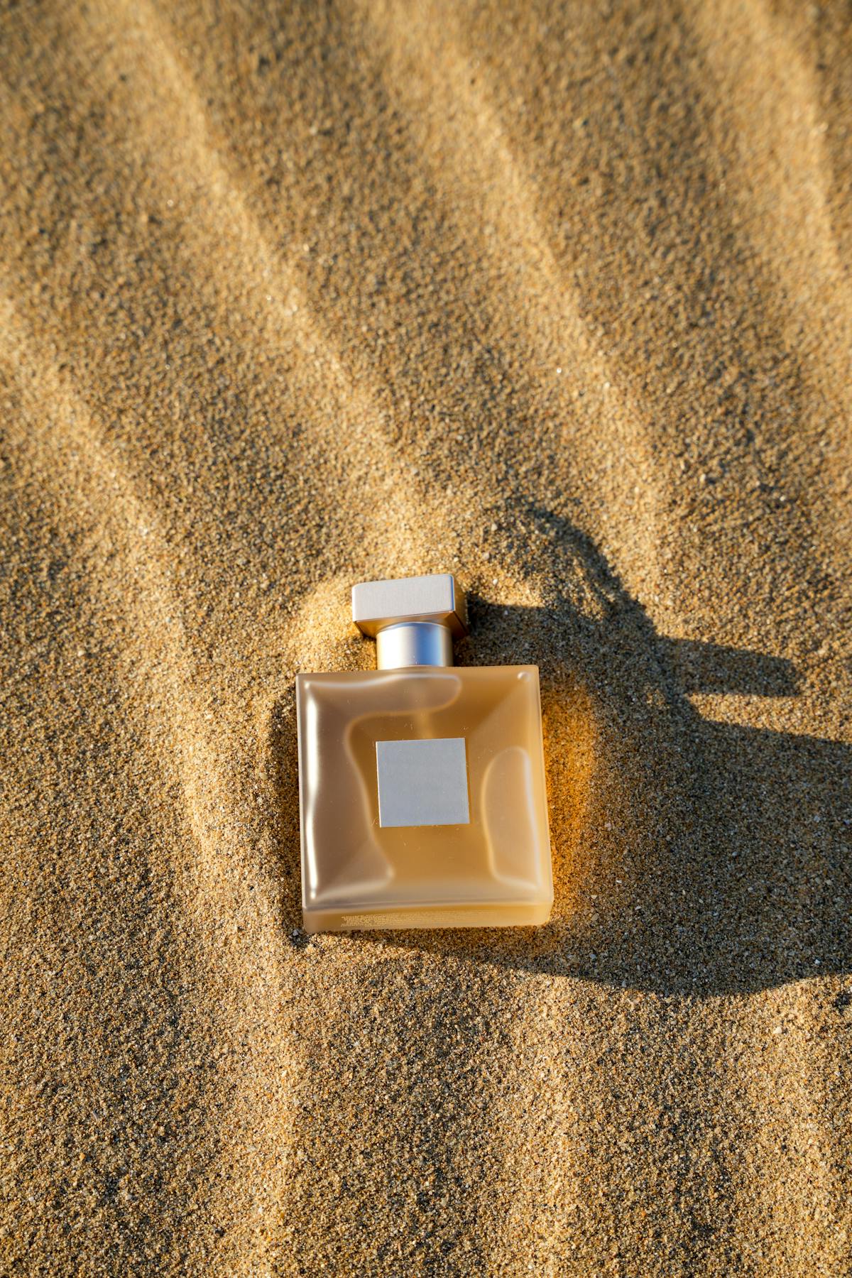 Melhores Perfumes Masculinos para o Calor no Sul do Brasil: Guia 2026 — Review Completa