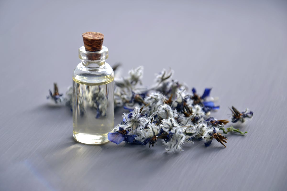 Scent Stacking: Como Combinar Perfumes e Criar Sua Própria Assinatura Olfativa em 2026 — Review Completa